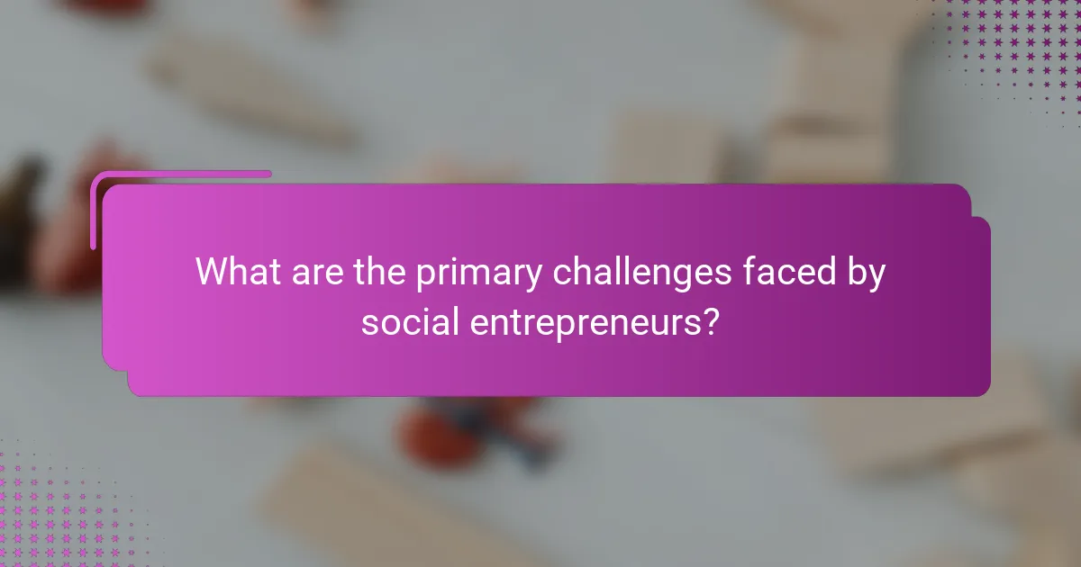 What are the primary challenges faced by social entrepreneurs?