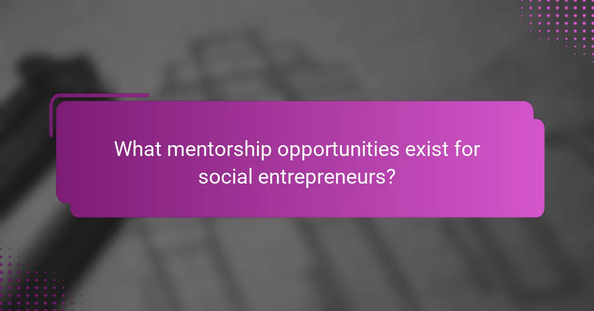 What mentorship opportunities exist for social entrepreneurs?