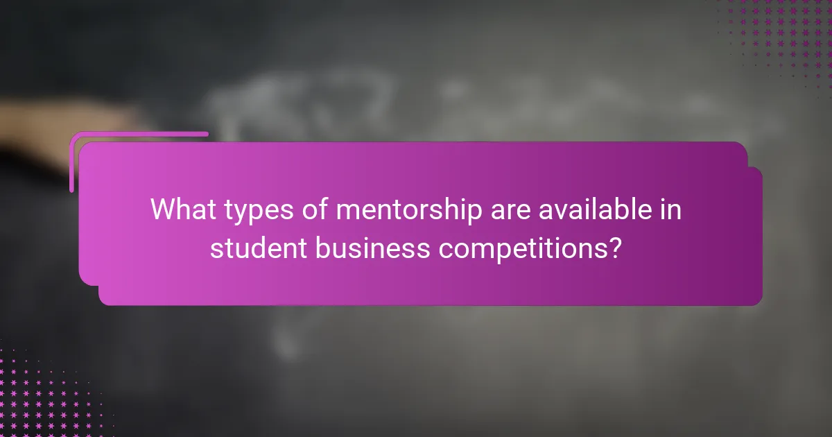 What types of mentorship are available in student business competitions?